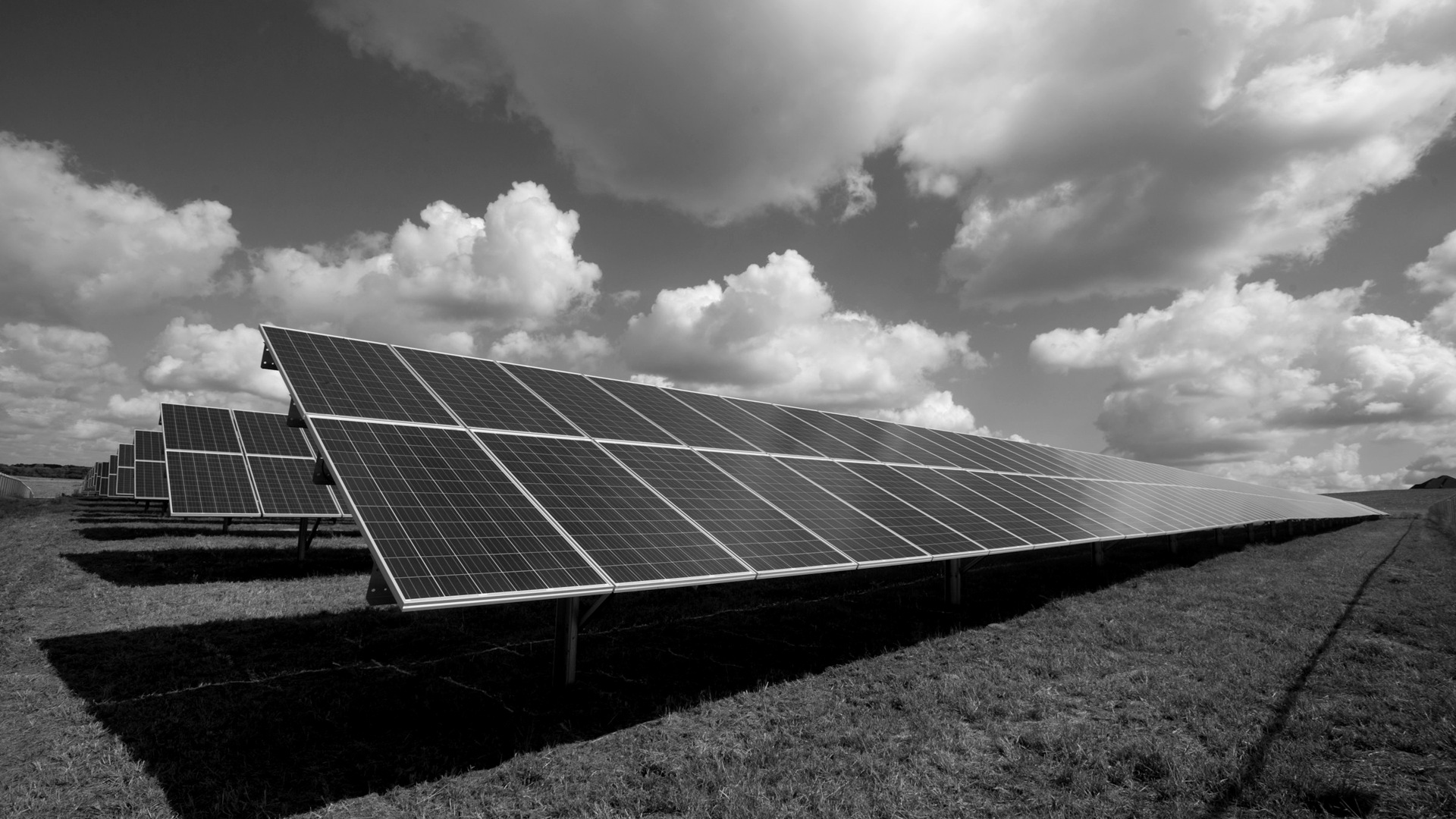 Solar panels on green field.