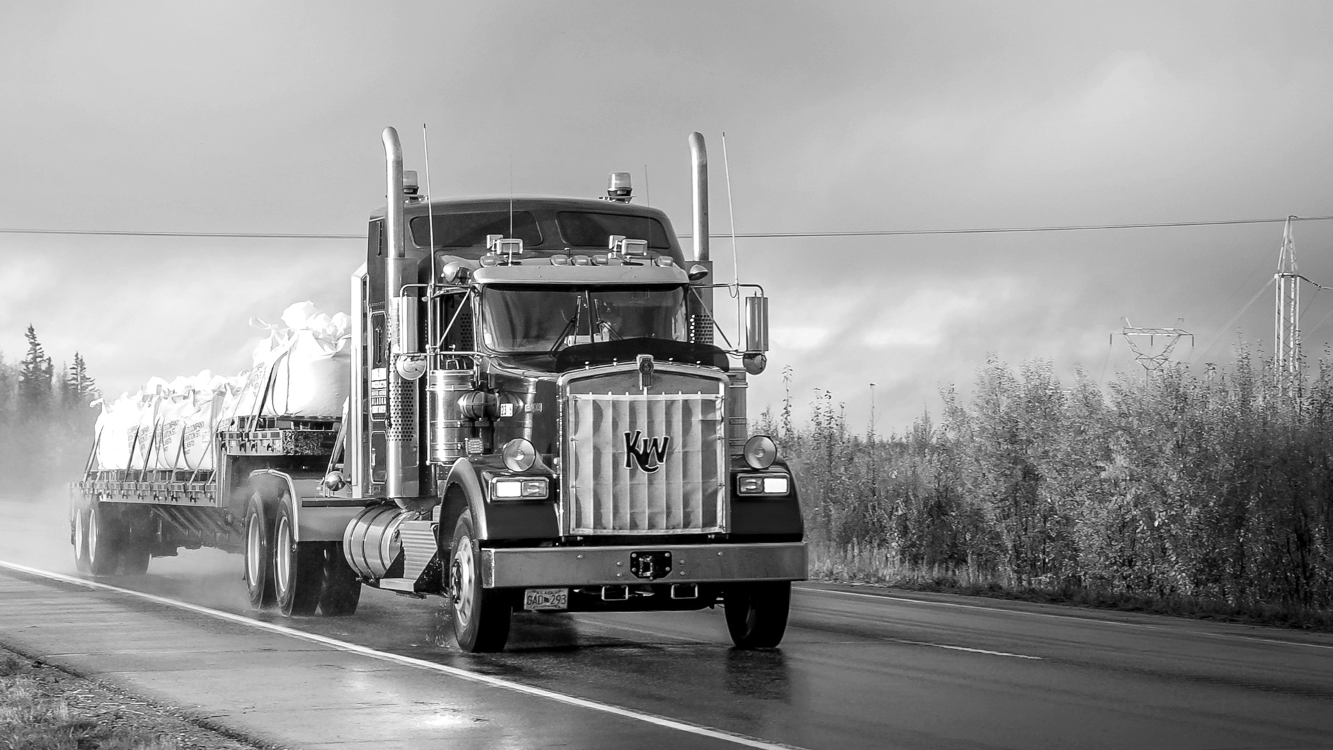 White and blue truck on road during daytime.